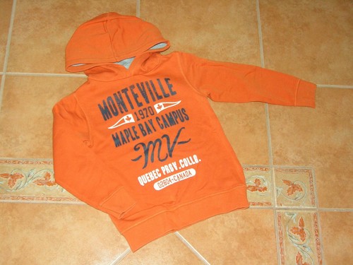 Sweatshirt mit kapuze - sweatshirt,