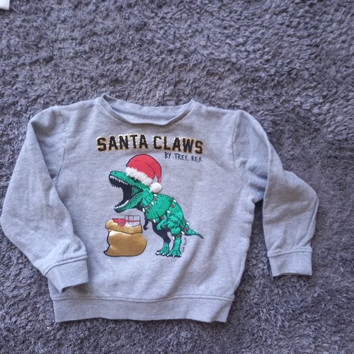 Pullover dinosaurier 104 - pullover,